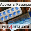 Ароматы Камагры 40